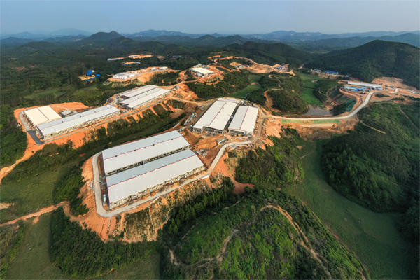 钦州:益豚种猪场建成投产 为生猪恢复生产注入新动能 养猪新闻