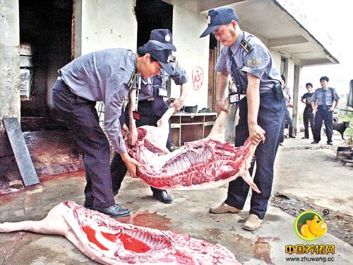 长沙开福连打两非法屠宰场 扣押母猪肉953公斤