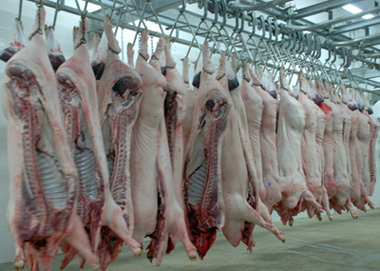农业部：重新制定猪肉水分标准 减少活猪长途运输