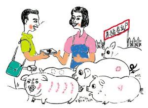 亲属代替自己养猪 到底能不能给补助？