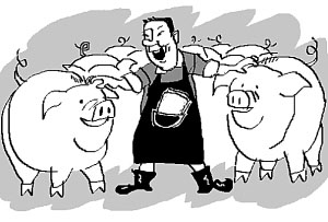 2016年上半年养猪业整体处于利润补偿期