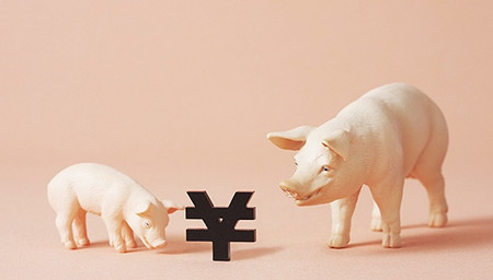 2016年猪价能否形成双峰？