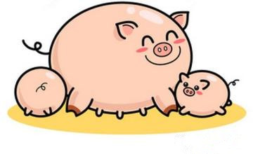 预计短期内猪价整体保持慢涨趋势