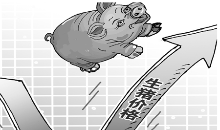 业内：猪价不会继续暴跌 但上涨空间开始缩窄