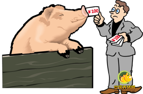 农业部专家：中秋、国庆或将拉动猪价阶段性涨幅