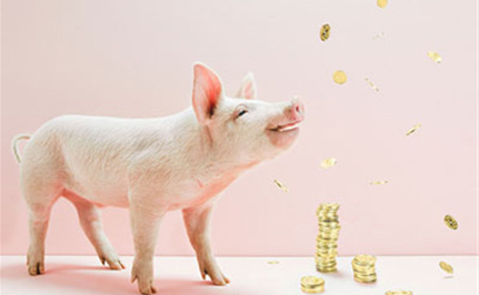 散养户与屠企“掐架” 猪价会出现涨跌乱象吗？