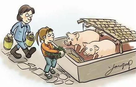 农业网：猪价变幻莫测 生猪价格预警机制需继续完善
