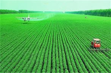 美国大豆出口可能高于美国农业部当前预期