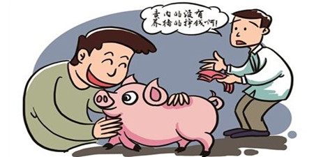 养猪补贴？！2016年农业部养猪业补贴您拿了多少？