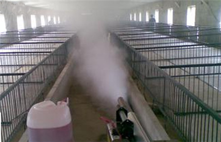 影响养猪场消毒的因素有哪些？