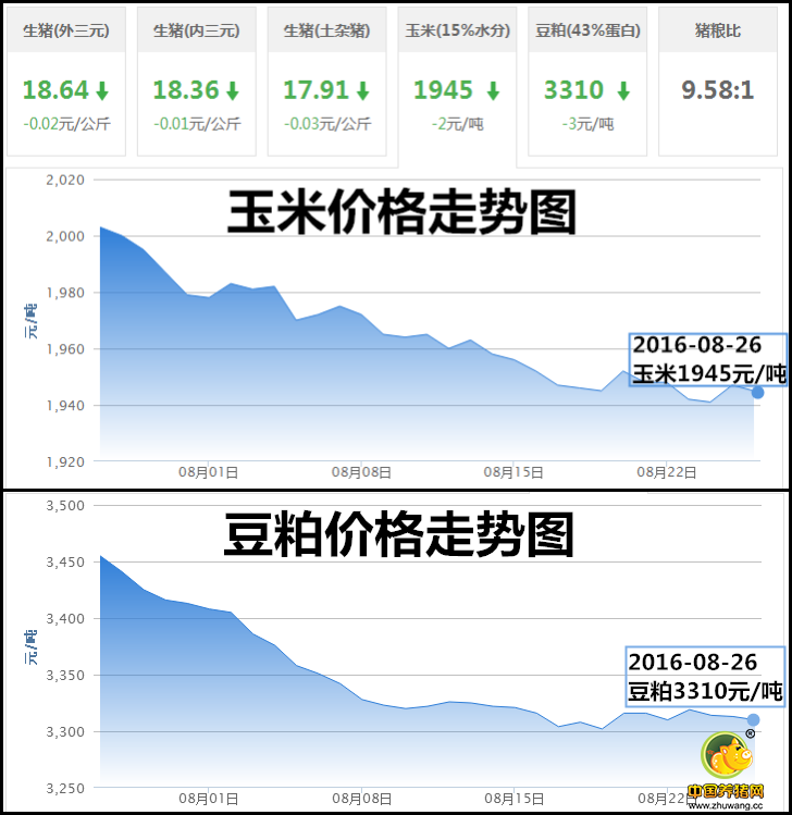 8月26日猪评：东北华北猪价下跌 南方多地猪价上涨