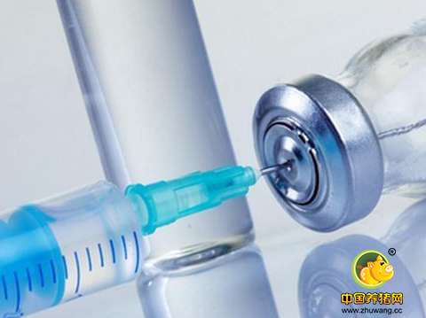 如何让注射的疫苗产生最大的效益？