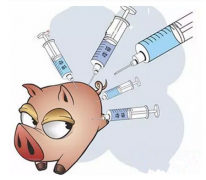 总算凑全了，规模养猪场中常用的18种疫苗及免疫程序介绍