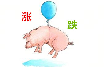 网友：猪价稳就是好事情 养殖户出栏和压栏要灵活