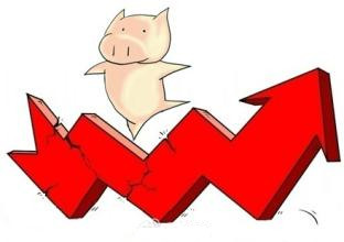 9月份猪价与8月份相比利好增加 北稳南降态势显现
