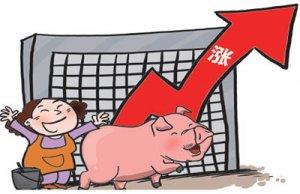 猪肉消费处于恢复阶段 供需博弈、量价僵持各方行为谨慎