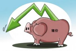 震荡可能性较大 国庆前猪价或将出现恢复性上涨