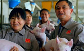 天种能成为养猪业第一家百年企业吗？