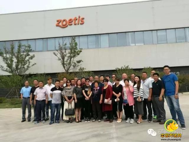 黑龙江吉林家禽重点客户参观硕腾苏州工厂和上海办公室座谈