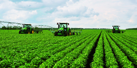 农业部专家：大豆进口对国内产业损害加深