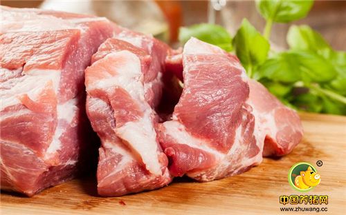 白条价格出现止跌信号 整体来看猪肉价格仍处于高价位区域