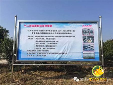 《中国猪业高层交流论坛》安徽站线下活动之（二）安徽宝迪