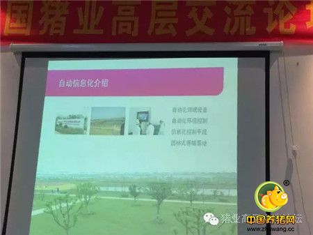《中国猪业高层交流论坛》安徽站线下活动之（二）安徽宝迪