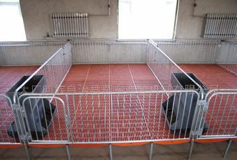 高床保育栏 为养猪场量身打造的养猪设备