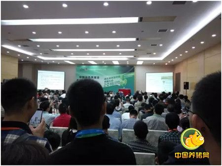 正邦在李曼中国绿色养猪业论坛上发表最强音