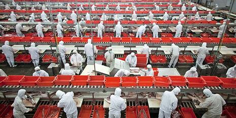又是进口肉？！俄罗斯已按区域化原则对中国出口猪肉