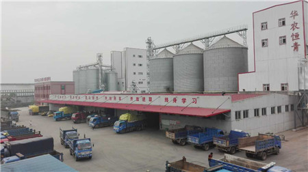 热烈祝贺华农恒青高安基地10月份猪料销量达到41523吨