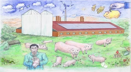 解除痛点！用动物福利理念提升养猪产业