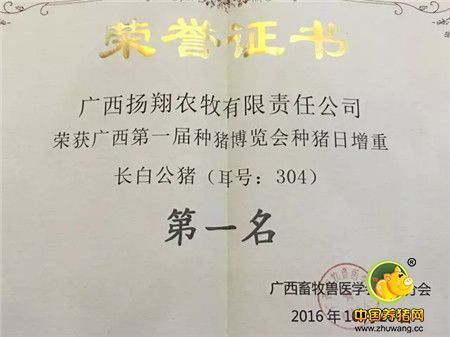 扬翔农牧荣获广西首届种猪博览会长白公猪日增重第一名，大白公猪料重比第一名！