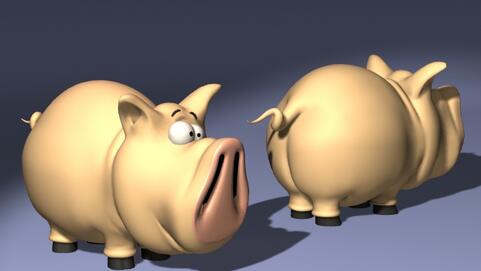 现在，猪价平稳上涨，那未来走势将会如何呢？