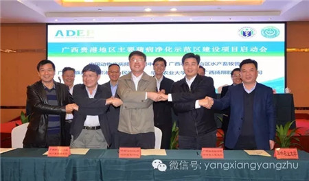 扬翔公司签订框架合作协议助力贵港地区主要猪病净化示范区建设工作