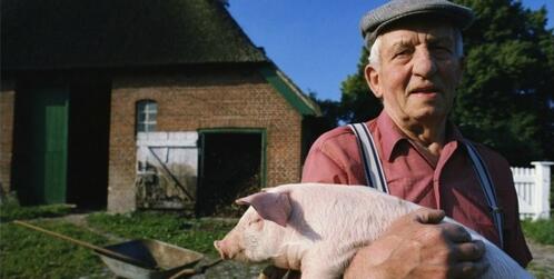 养猪必读：养殖户的命运，不只掌握在自己手上