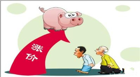 猪价进入红色预警区 部分散户放弃养猪产业转型加速（黑龙江）