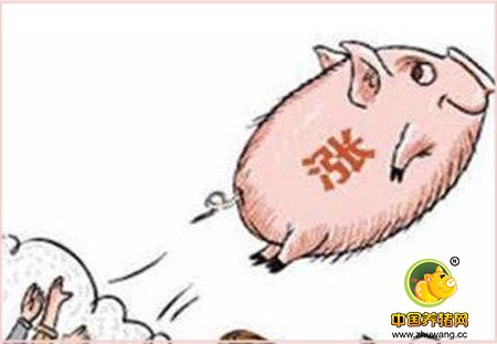 屠企收猪受阻猪价连降难度较大 消费利好增加猪价将上涨