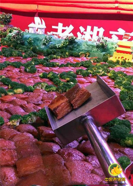舌尖上的中国！厨师用33头猪“烧制”中国地图(图)