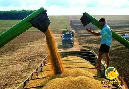 辽宁：6万吨美国进口大豆检出6种有毒生物
