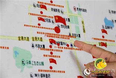 人民网：广西扬翔——强化党建引领 创新产业扶贫新模式