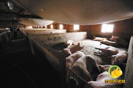 养猪场引进畜牧废水净水技术