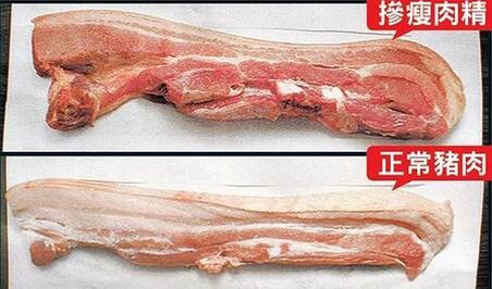 在美国用瘦肉精养猪是合法的，你知道为什么吗