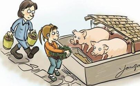 还在指望猪价？经验老猪倌教你如何降低养猪成本