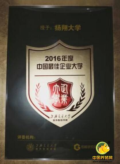 祝贺！扬翔大学荣获“2016年度中国最佳企业大学”称号