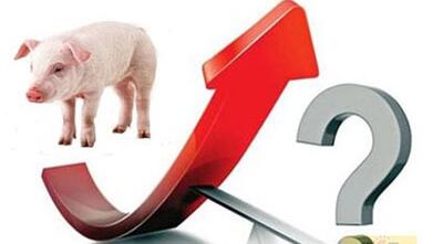 春节后需求面会改变，不过猪价上涨时间也会拉长！