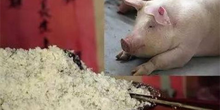 你的养猪场使用不锈钢为什么也生锈？