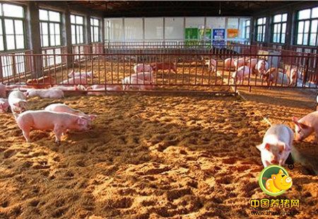 提高养猪场效益有哪些值得学习的方法？