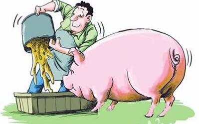 12月份生猪均价较11月份应有小幅提高