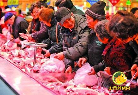 消费降量供应增加 国内猪价高位调整